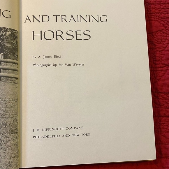 Horse Book 📕 - Picture 4 of 12